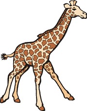 Giraffe.tif